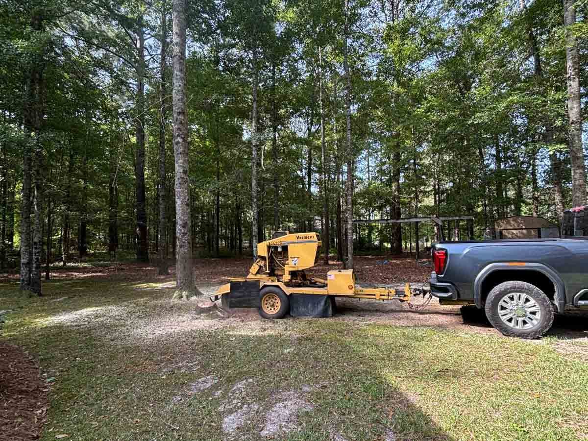 El Costeño Tree Service LLC